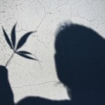 Marijuana besittning kan få allvarliga konsekvenser