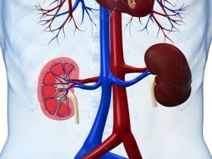 GranuFlo and Naturalyte affect more than just the kidneys