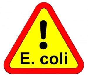 E. Coli